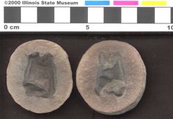 Small image of specimen