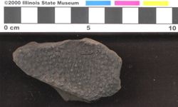 Small image of specimen