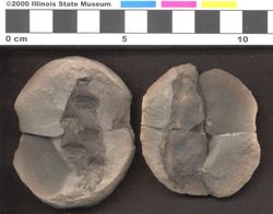 Small image of specimen