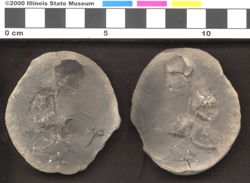 Small image of specimen