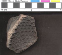 Small image of specimen