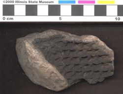 Small image of specimen