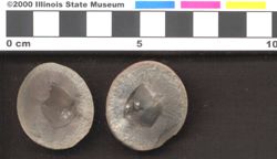 Small image of specimen
