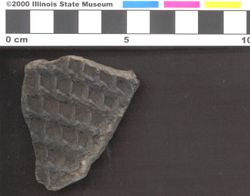 Small image of specimen