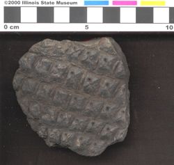 Small image of specimen