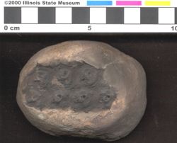Small image of specimen
