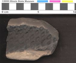 Small image of specimen