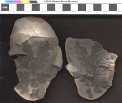 Small image of specimen