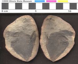 Small image of specimen