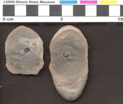 Small image of specimen