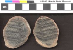 Small image of specimen