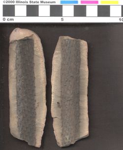Small image of specimen