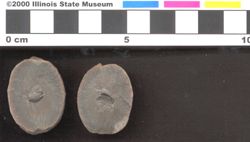 Small image of specimen