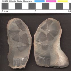 Small image of specimen
