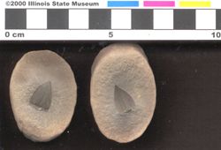 Small image of specimen