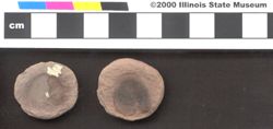 Small image of specimen
