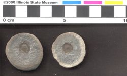 Small image of specimen