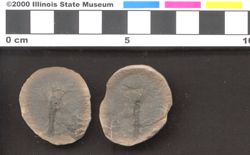 Small image of specimen