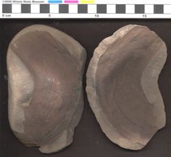 Small image of specimen