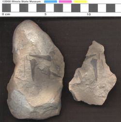 Small image of specimen
