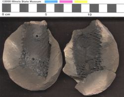 Small image of specimen