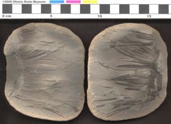 Small image of specimen