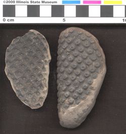 Small image of specimen