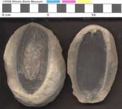 Small image of specimen