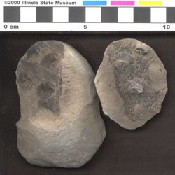 Small image of specimen