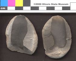 Small image of specimen