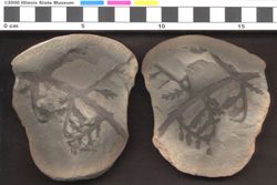 Small image of specimen
