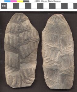 Small image of specimen