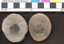 Small image of specimen