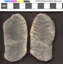 Small image of specimen