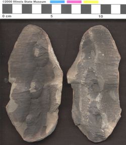 Small image of specimen