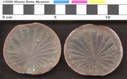 Small image of specimen