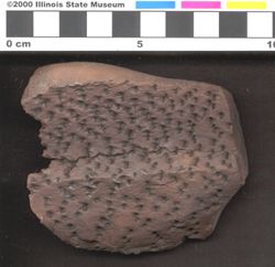 Small image of specimen