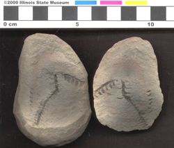 Small image of specimen