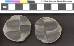 Small image of specimen