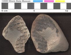 Small image of specimen