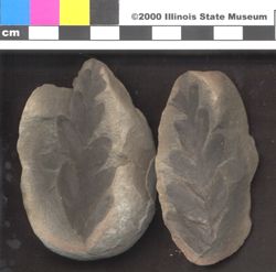 Small image of specimen