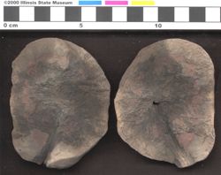 Small image of specimen