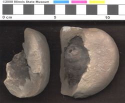 Small image of specimen