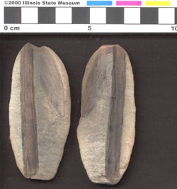 Small image of specimen