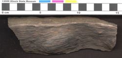Small image of specimen
