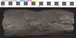 Small image of specimen