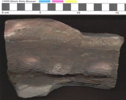 Small image of specimen