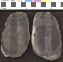 Small image of specimen