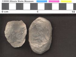 Small image of specimen