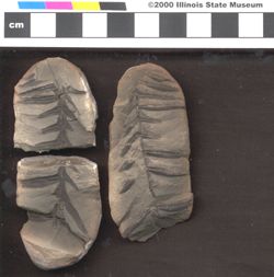 Small image of specimen